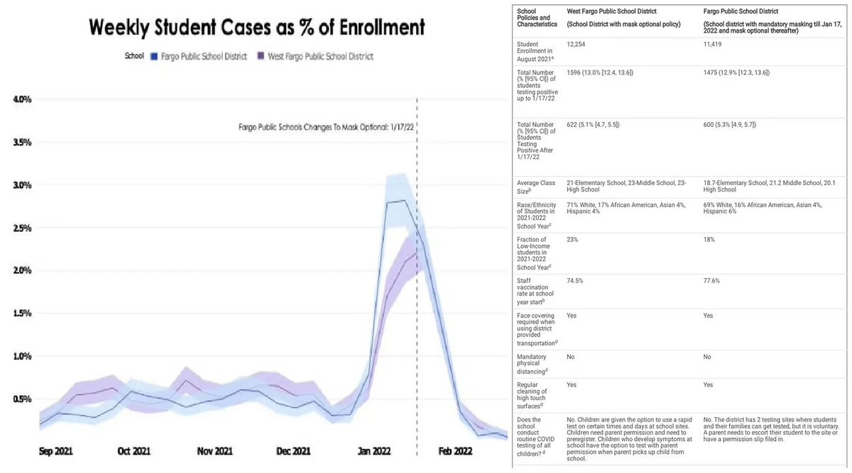 Weekly Cases